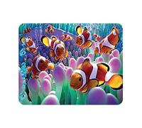 3D LiveLife Magnet - Clown Fish from Deluxebase. Lenticular 3D Ocean Fridge Magnet. Magnetic decor for kids and adults with artwork licensed from renowned artist, David Penfound