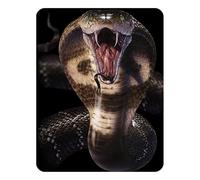 3D LiveLife Magnet - Cobra from Deluxebase. Lenticular 3D Snake Fridge Magnet. Magnetic decor for kids and adults with artwork licensed from renowned artist, David Penfound
