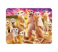 3D LiveLife Magnet - Cool Meerkats from Deluxebase. Lenticular 3D Safari Fridge Magnet. Magnetic decor for kids and adults with artwork licensed from renowned artist, Michael Searle