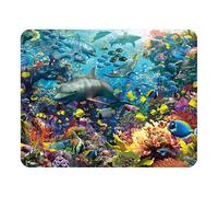 3D LiveLife Magnet - Dolphin Delight from Deluxebase. Lenticular Ocean Fridge Magnet. Decorative 3D Dolphin Flat Magnets. Cute Small Magnets for Fridge, Dishwasher and Whiteboard.