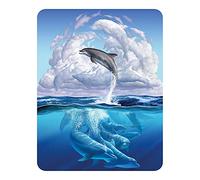 3D LiveLife Magnet - Dolphin Symphony from Deluxebase. Lenticular Ocean Fridge Magnet. Decorative 3D Dolphin Flat Magnets. Cute Small Magnets for Fridge, Dishwasher and Whiteboard.