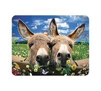 3D LiveLife Magnet - Donkeys from Deluxebase. Lenticular Farm Animal Fridge Magnet. Decorative 3D Donkey Flat Magnets. Cute Small Magnets for Fridge, Dishwasher and Whiteboard.