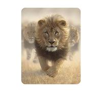 3D LiveLife Magnet - Eat My Dust from Deluxebase. Lenticular Animal Fridge Magnet. Decorative 3D Lion Flat Magnets. Cute Small Magnets for Fridge, Dishwasher and Whiteboard.