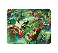 3D LiveLife Magnet - Funky Frogs from Deluxebase. Lenticular 3D Frog Fridge Magnet. Magnetic decor for kids and adults with artwork licensed from renowned artist, David Penfound