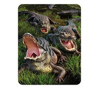 3D LiveLife Magnet - Gator Bog from Deluxebase. Lenticular 3D Alligator Fridge Magnet. Magnetic decor for kids and adults with artwork licensed from renowned artist, Jerry LoFaro