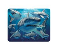 3D LiveLife Magnet - Great White Shark from Deluxebase. Lenticular Ocean Fridge Magnet. Decorative 3D Shark Flat Magnets. Cute Small Magnets for Fridge, Dishwasher and Whiteboard.