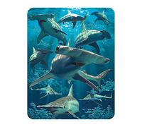 3D LiveLife Magnet - Hammerhead Shark from Deluxebase. Lenticular Ocean Fridge Magnet. Decorative 3D Shark Flat Magnets. Cute Small Magnets for Fridge, Dishwasher and Whiteboard.