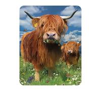 3D LiveLife Magnet - Highland Cattle from Deluxebase. Lenticular Farm Animal Fridge Magnet. Decorative 3D Cow Flat Magnets. Cute Small Magnets for Fridge, Dishwasher and Whiteboard.