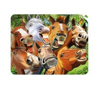 3D LiveLife Magnet - Horsing Around from Deluxebase. Lenticular Animal Fridge Magnet. Decorative 3D Horse Flat Magnets. Cute Small Magnets for Fridge, Dishwasher and Whiteboard.