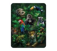 3D LiveLife Magnet - Jungle Pals from Deluxebase. Lenticular Animal Fridge Magnet. Decorative 3D Jungle Flat Magnets. Cute Small Magnets for Fridge, Dishwasher and Whiteboard.