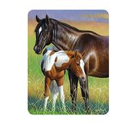 3D LiveLife Magnet - Mare & Foal from Deluxebase. Lenticular Animal Fridge Magnet. Decorative 3D Horse Flat Magnets. Cute Small Magnets for Fridge, Dishwasher and Whiteboard.