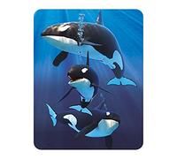 3D LiveLife Magnet - Orcas from Deluxebase. Lenticular Ocean Fridge Magnet. Decorative 3D Orca Flat Magnets. Cute Small Magnets for Fridge, Dishwasher and Whiteboard.