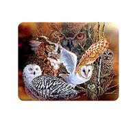 3D LiveLife Magnet - Owl Woods from Deluxebase. Lenticular 3D Owl Fridge Magnet. Magnetic decor for kids and adults with artwork licensed from renowned artist, Steven Michael Gardner