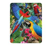 3D LiveLife Magnet - Parrot Pandemonia from Deluxebase. Lenticular Animal Fridge Magnet. Decorative 3D Parrot Flat Magnets. Cute Small Magnets for Fridge, Dishwasher and Whiteboard.