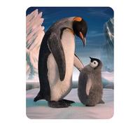 3D LiveLife Magnet - Penguin Son from Deluxebase. Lenticular Animal Fridge Magnet. Decorative 3D Penguin Flat Magnets. Cute Small Magnets for Fridge, Dishwasher and Whiteboard.