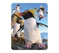 3D LiveLife Magnet - Rockhoppers from Deluxebase. Lenticular 3D Penguin Fridge Magnet. Magnetic decor for kids and adults with artwork licensed from renowned artist, David Penfound