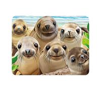 3D LiveLife Magnet - Sea Lion Snap from Deluxebase. Lenticular Ocean Fridge Magnet. Decorative 3D Sea Lion Flat Magnets. Cute Small Magnets for Fridge, Dishwasher and Whiteboard.