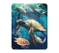 3D LiveLife Magnet - Sea Turtle Swim from Deluxebase. Lenticular Ocean Fridge Magnet. Decorative 3D Sea Turtle Flat Magnets. Cute Small Magnets for Fridge, Dishwasher and Whiteboard.
