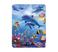 3D LiveLife Magnet - Seahorse Kingdom from Deluxebase. Lenticular Ocean Fridge Magnet. Decorative 3D Dolphin Flat Magnets. Cute Small Magnets for Fridge, Dishwasher and Whiteboard.