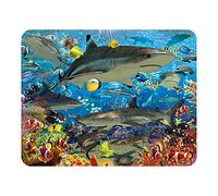 3D LiveLife Magnet - Shark Reef from Deluxebase. Lenticular Ocean Fridge Magnet. Decorative 3D Shark Flat Magnets. Cute Small Magnets for Fridge, Dishwasher and Whiteboard.