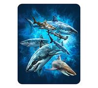 3D LiveLife Magnet - Shark Swim from Deluxebase. Lenticular 3D Ocean Fridge Magnet. Magnetic decor for kids and adults with artwork licensed from renowned artist, Tami Alba