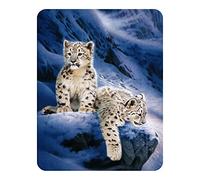 3D LiveLife Magnet - Snow Leopard Cubs from Deluxebase. Lenticular 3D Big Cat Fridge Magnet. Magnetic decor for kids and adults with artwork licensed from renowned artist, Joh Naito