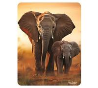 3D LiveLife Magnet - Sunset Stroll from Deluxebase. Lenticular Animal Fridge Magnet. Decorative 3D Elephant Flat Magnets. Cute Small Magnets for Fridge, Dishwasher and Whiteboard.