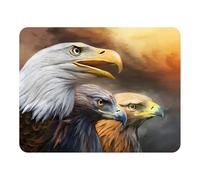 3D LiveLife Magnet - Three Eagles from Deluxebase. Lenticular Animal Fridge Magnet. Decorative 3D Eagle Flat Magnets. Cute Small Magnets for Fridge, Dishwasher and Whiteboard.