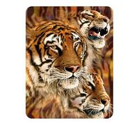 3D LiveLife Magnet - Tiger Stripes from Deluxebase. Lenticular 3D Tiger Fridge Magnet. Magnetic decor for kids and adults with artwork licensed from renowned artist, Steven Michael Gardner