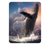 3D LiveLife Magnet - Whale Jump from Deluxebase. Lenticular Ocean Fridge Magnet. Decorative 3D Whale Flat Magnets. Cute Small Magnets for Fridge, Dishwasher and Whiteboard.