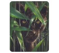3D LiveLife Magnet - Wild Eyes from Deluxebase. Lenticular Animal Fridge Magnet. Decorative 3D Panther Flat Magnets. Cute Small Magnets for Fridge, Dishwasher and Whiteboard.