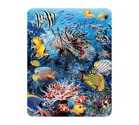 3D LiveLife Magnet - Wonders of the Reef from Deluxebase. Lenticular Ocean Fridge Magnet. Decorative 3D Fish Flat Magnets. Cute Small Magnets for Fridge, Dishwasher and Whiteboard.