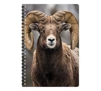 3D LiveLife Notebook - Bighorn Sheep from Deluxebase. Spiral Bound Lined Notebook with 80 Recycled Pages, 3D Animal Art Notebooks for Work, Gifts and School Supplies, (21 x 14.5 cm)