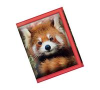 3D LiveLife Wallets - Baby Red Panda from Deluxebase. Cool Lenticular Jungle Trifold Wallet with Zipper, Coin Pocket, Keyring and Card Holder. Animal Themed Small Gifts for Men and Women.