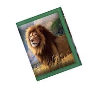 3D LiveLife Wallets - Big Cat Expedition from Deluxebase. Cool Lenticular Lion Trifold Wallet with Zipper, Coin Pocket, Keyring and Card Holder. Animal Themed Small Gifts for Men and Women.