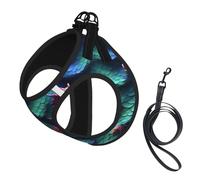 3D Magical Dragon Scales Pattern Print Dog Harness with Leash Set with Thickened Padded Vest for Extra-Small/Small Medium Dogs