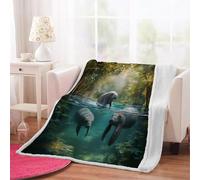 3D Maritime Throw Blanket 100x130cm Microfiber Fleece Ultra Soft Cozy Plush Warm Sea Lions Sherpa Blanket All Season for Home Couch Bed Chair Travel(Pattern 20-7)