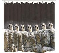 3D Meerkat Shower Curtain Animal Pattern Shower Curtains Mould Proof Resistant Waterproof Polyester Fabric Bathroom Curtains 120 x 180 cm Bath Curtain for Wet Rooms E-2219