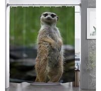 3D Meerkat Shower Curtain Wild Animals Shower Curtains Mould Proof Resistant Waterproof Polyester Fabric Bathroom Curtains 180 x 200 cm Bath Curtain for Wet Rooms A/3065