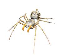 3D Metal Puzzles for Adults, 3D Cyborg Spider Model Kit & DIY Assembly, Mechanical Insect, Trendy Desktop Display & Gift (186PCS/Silver)