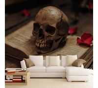 3D Mural Wallpaper Book Poster Art Photo Wallpaper Non-Woven 3D Effect Skeleton Wallpaper Mural Decoration for Bedroom Living Room Corridor 365 x 254 cm
