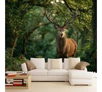 3D Mural Wallpaper Fawn Poster Art Photo Wallpaper Non-Woven 3D Effect Forest Wallpaper Mural Decoration for Bedroom Living Room Corridor 122 x 91 cm