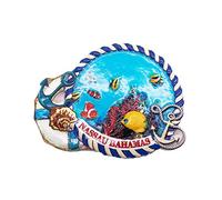 3D Nassau Bahamas Refrigerator Fridge Magnet Tourist Souvenirs Handmade Resin Craft Magnetic Stickers Home Kitchen Decoration Travel Gift