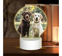 3D Night LED Light Lamp Bases Acrylic Love Lamps labrador retriever Dogs Night Light LED Bedside Lamp Acrylic Table Lamps Valentine's Day Thanksgiving Birthday Personalized Gifts for Women Men Couple