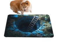 3D Optical Illusion Mat - Decorative Aesthetic Non-Slip Door Mat with 3D Visual Effect | 3-Dimension Carpet for Porch, Entryway, Bathroom, Kitchen, Interior and Decorations