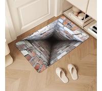 3D Optical Illusion Rug, 3D Bottomless Hole Optical Illusion Area Mat, Front Door Mat Outside Entrance, Test & Play with Your Dog or Cat, for Living Room, Bathroom, Non-Slip (#D)