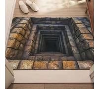 3D Optical Illusion Rug,3DHole Rugs,Rug That Looks Like a Hole in The Ground,Dog Gets Scared of 3DHole Carpet,3D Carpet Bottomless Hole Optical Illusion Area Mat,Test & Play with Your Dog or Cat