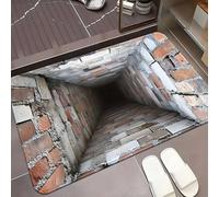 3D Optical Illusion Rug,3DHole Rugs,Rug That Looks Like a Hole in The Ground,Dog Gets Scared of 3DHole Carpet,3D Carpet Bottomless Hole Optical Illusion Area Mat,Test & Play with Your Dog or Cat