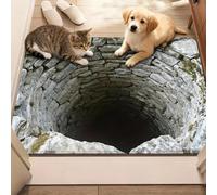3D Optical Illusion Rugs,3D Hole Rug,Rug That Looks Like a Hole,As Test & Game with Your Cat or Dog for Living Room & Bedroom & Bathroom (15.7 * 23.6in(#a))