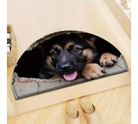 3D Optical Illusion Rugs, Realistic Hole Rug That Looks Like a Hole in The Floor, Non Slip Interactive Rug to Play with Dog and Cat, Visual Trick Floor Mat for Living Room, Door Entrance (E)